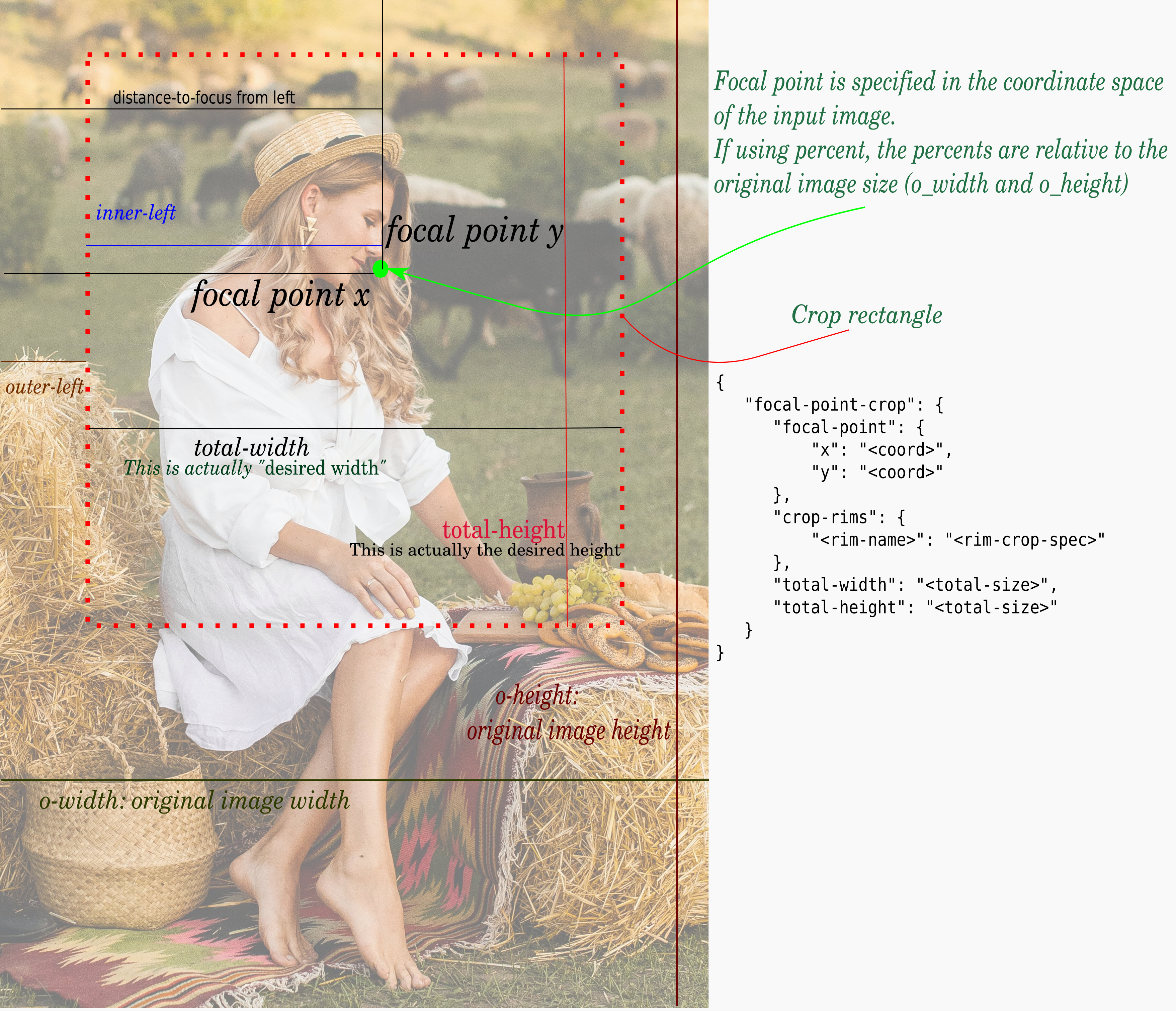 Diagram focal point cropping parameters figure woman
